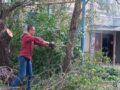 Спил аварийных деревьев на Кошевого, 31