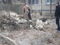 Олега Кошевого, 31 — спилили аварийные деревья
